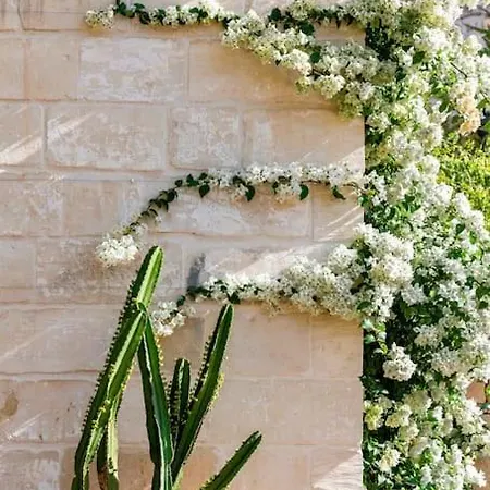 Luxury Malta Palazzo